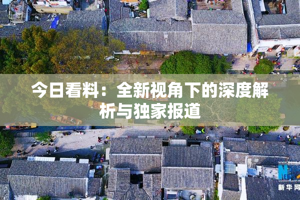 今日看料：全新视角下的深度解析与独家报道
