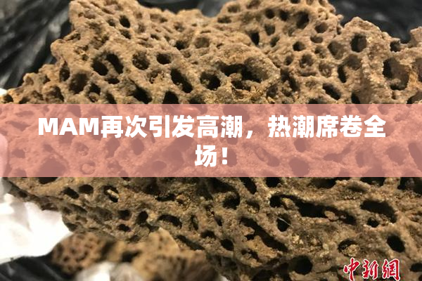 MAM再次引发高潮，热潮席卷全场！