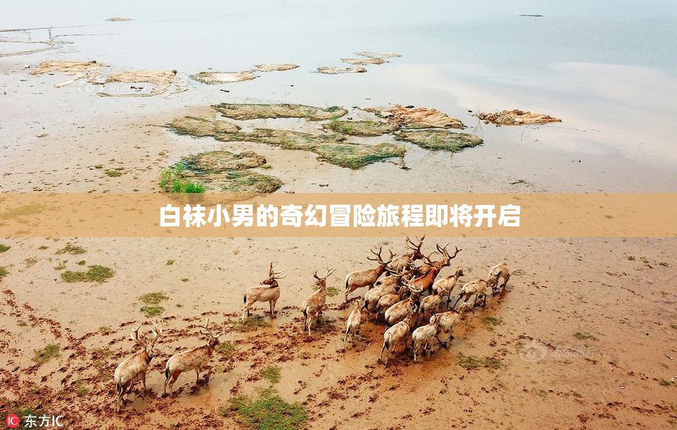 白袜小男的奇幻冒险旅程即将开启