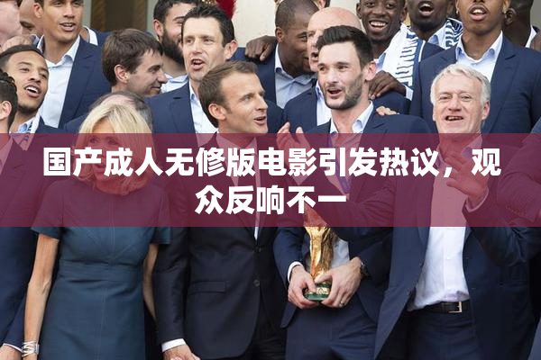 国产成人无修版电影引发热议，观众反响不一
