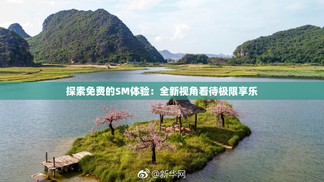 探索免费的SM体验：全新视角看待极限享乐