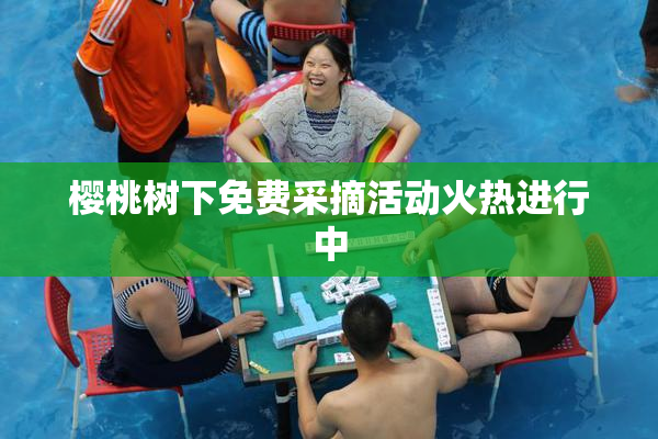 樱桃树下免费采摘活动火热进行中