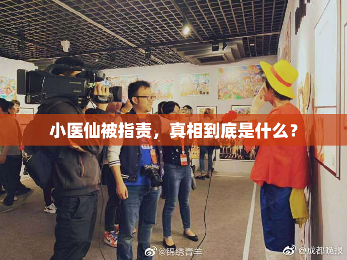 小医仙被指责，真相到底是什么？