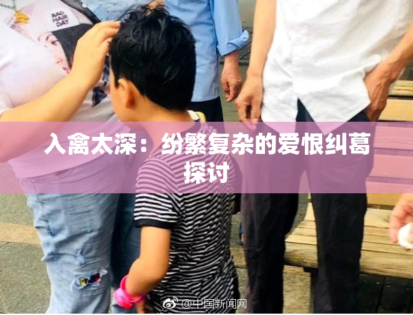 入禽太深：纷繁复杂的爱恨纠葛探讨