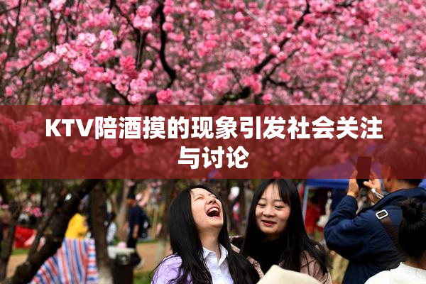 KTV陪酒摸的现象引发社会关注与讨论
