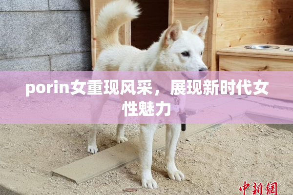 porin女重现风采，展现新时代女性魅力