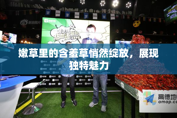 嫩草里的含羞草悄然绽放，展现独特魅力