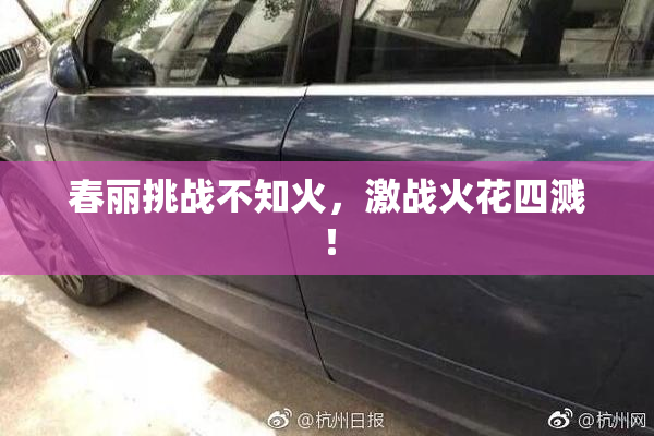 春丽挑战不知火，激战火花四溅！
