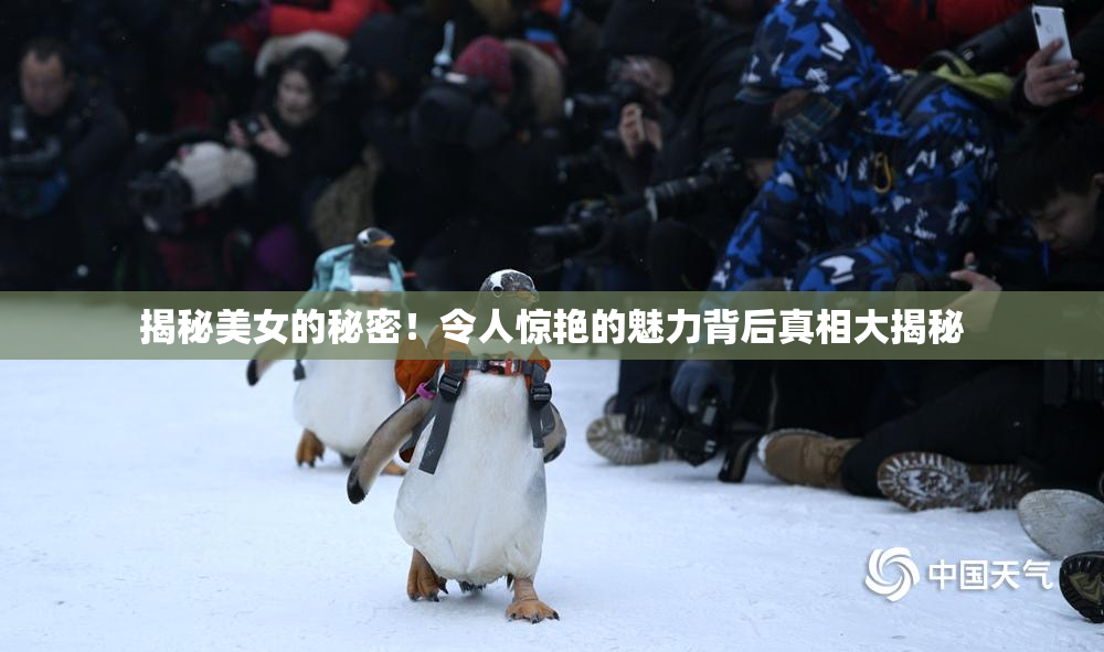 揭秘美女的秘密！令人惊艳的魅力背后真相大揭秘