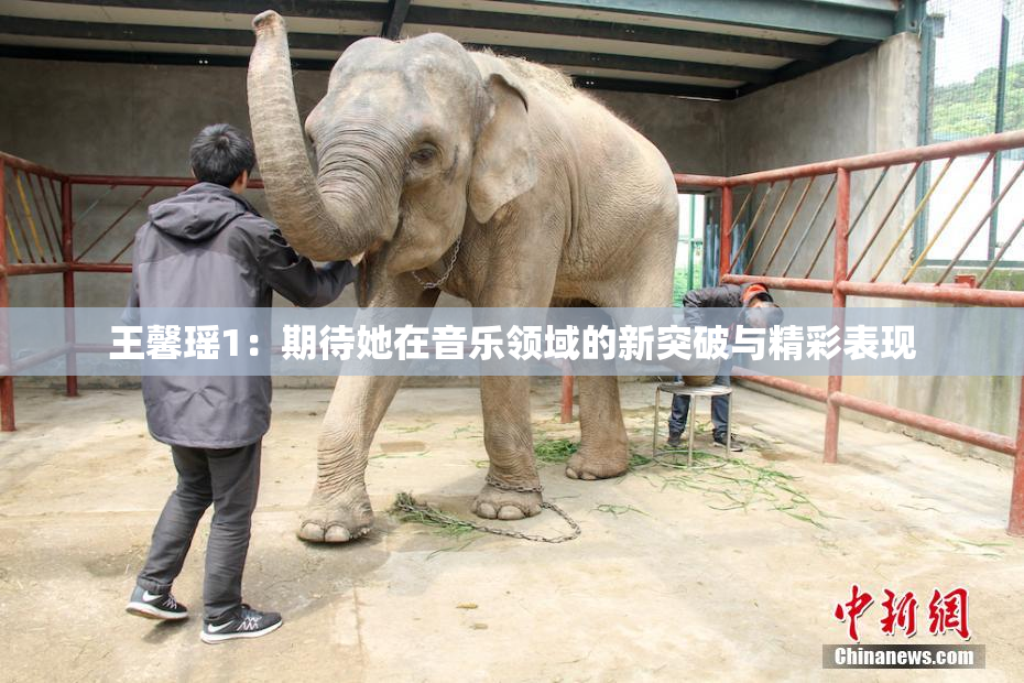 王馨瑶1：期待她在音乐领域的新突破与精彩表现