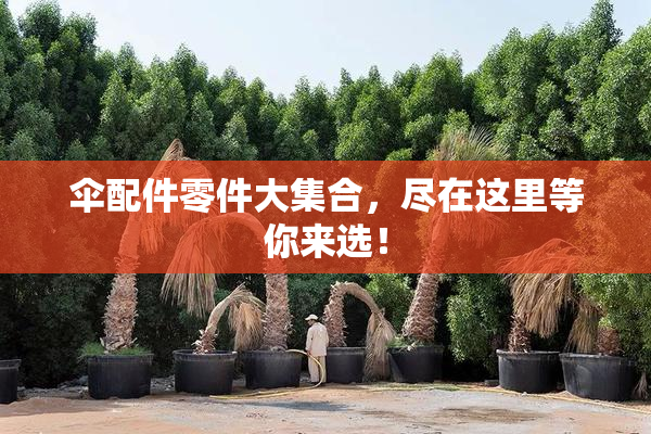 伞配件零件大集合，尽在这里等你来选！