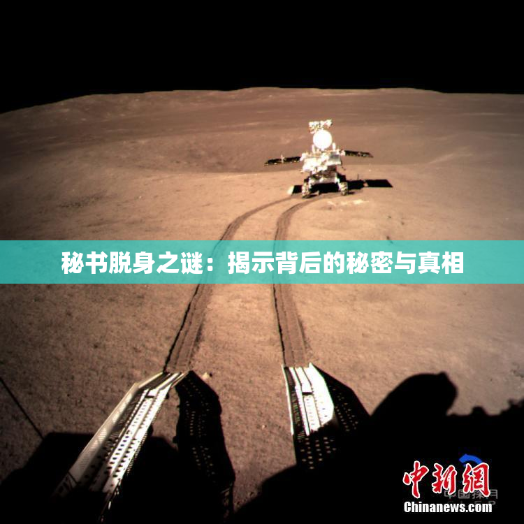 秘书脱身之谜：揭示背后的秘密与真相