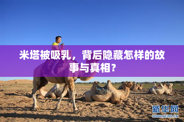 米塔被吸乳，背后隐藏怎样的故事与真相？