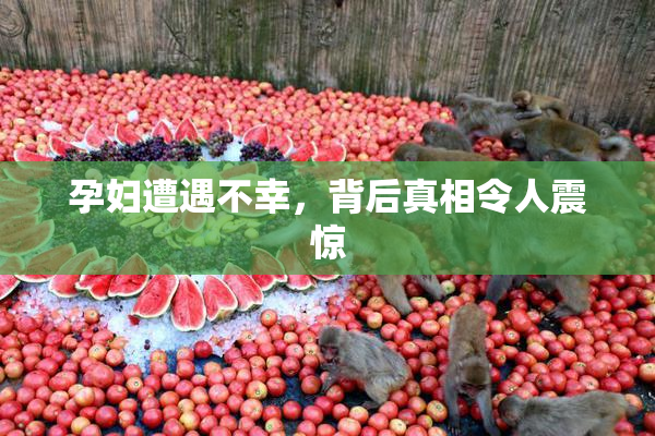 孕妇遭遇不幸，背后真相令人震惊