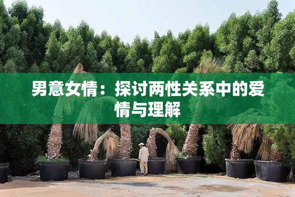 男意女情：探讨两性关系中的爱情与理解