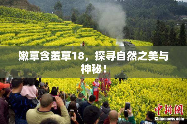 嫩草含羞草18，探寻自然之美与神秘！