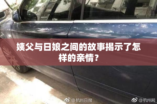 姨父与日娘之间的故事揭示了怎样的亲情？