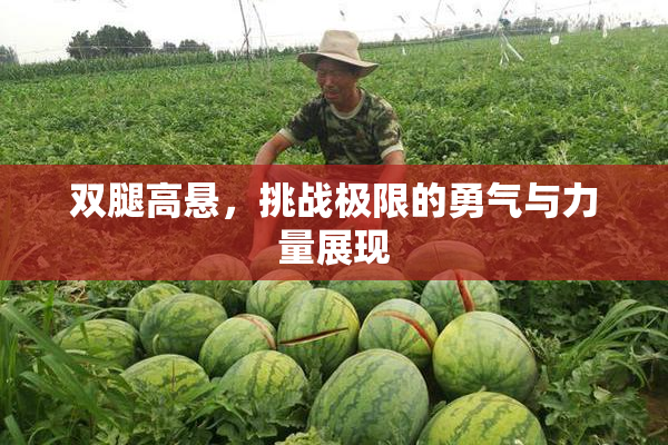 双腿高悬，挑战极限的勇气与力量展现