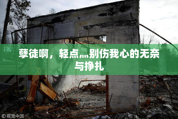 孽徒啊，轻点灬别伤我心的无奈与挣扎