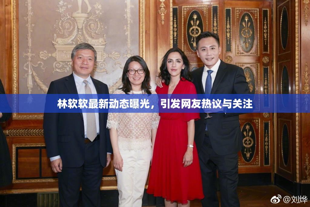 林软软最新动态曝光，引发网友热议与关注