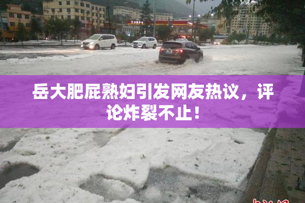 岳大肥屁熟妇引发网友热议，评论炸裂不止！