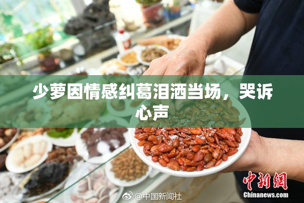 少萝因情感纠葛泪洒当场，哭诉心声
