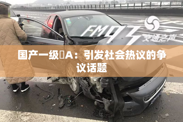国产一级婬A：引发社会热议的争议话题