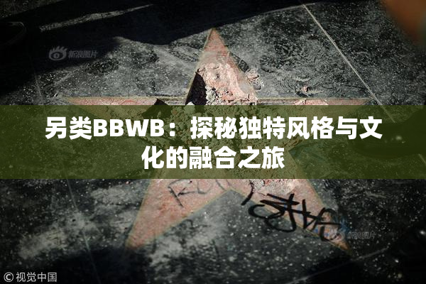 另类BBWB：探秘独特风格与文化的融合之旅