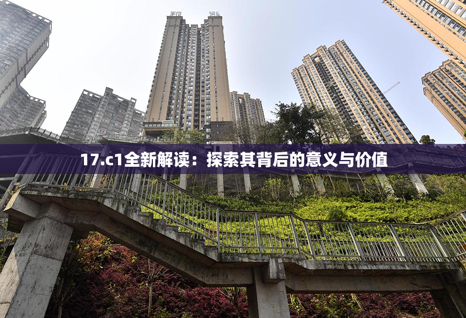 17.c1全新解读：探索其背后的意义与价值