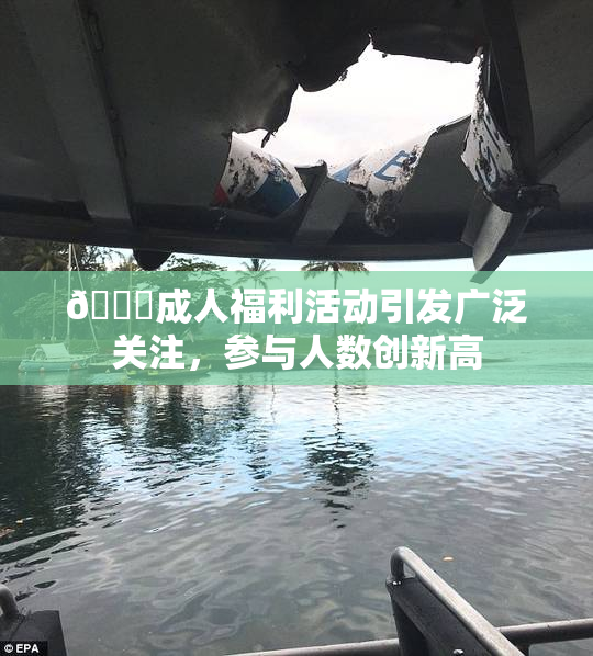 🔞成人福利活动引发广泛关注，参与人数创新高