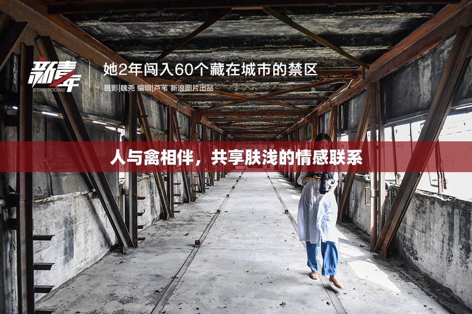 人与禽相伴，共享肤浅的情感联系