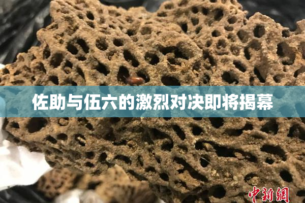 佐助与伍六的激烈对决即将揭幕