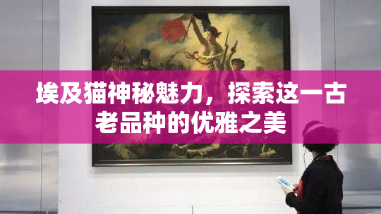 埃及猫神秘魅力，探索这一古老品种的优雅之美