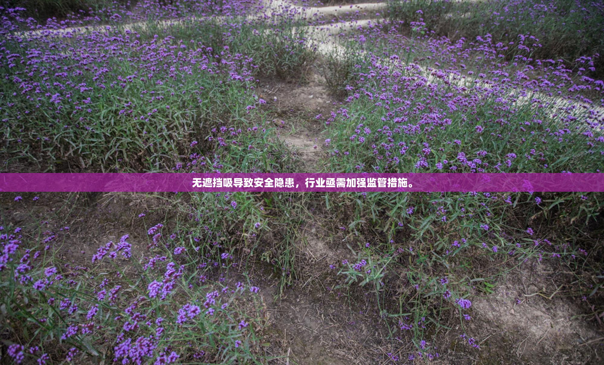 无遮挡吸导致安全隐患，行业亟需加强监管措施。