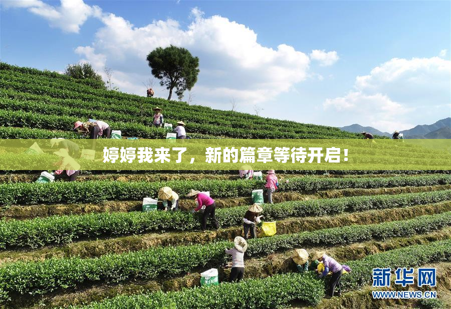 婷婷我来了，新的篇章等待开启！