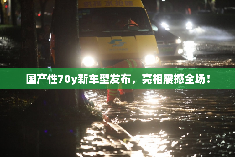 国产性70y新车型发布，亮相震撼全场！