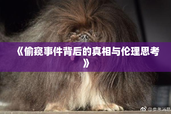 《偷窥事件背后的真相与伦理思考》