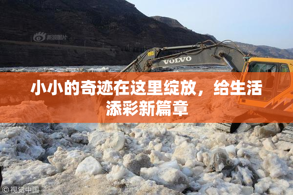 小小的奇迹在这里绽放，给生活添彩新篇章