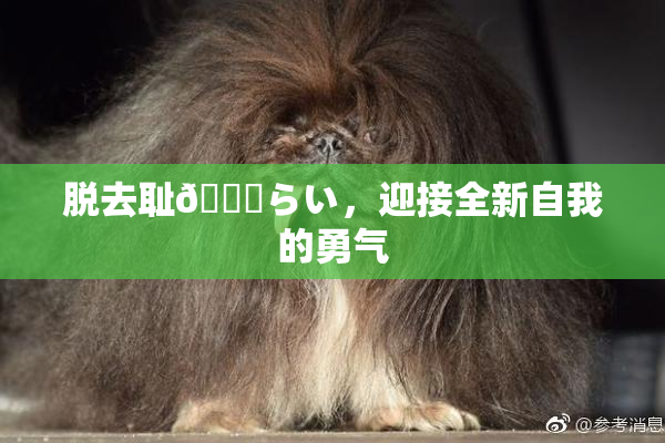 脱去耻🍓らい，迎接全新自我的勇气