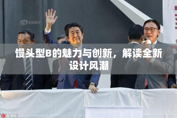 馒头型B的魅力与创新，解读全新设计风潮
