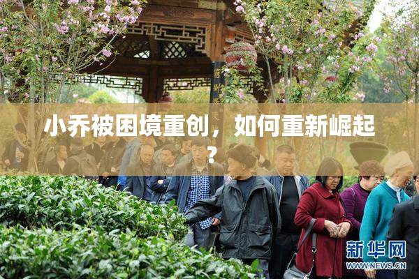 小乔被困境重创，如何重新崛起？