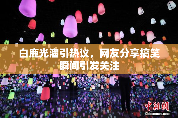 白鹿光溜引热议，网友分享搞笑瞬间引发关注