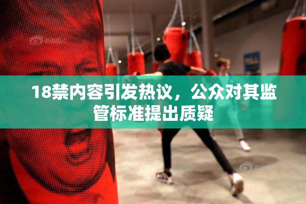 18禁内容引发热议，公众对其监管标准提出质疑