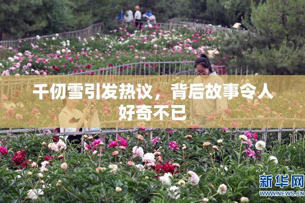 千仞雪引发热议，背后故事令人好奇不已