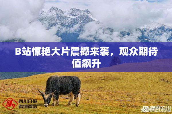 B站惊艳大片震撼来袭，观众期待值飙升