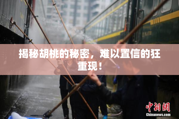 揭秘胡桃的秘密，难以置信的狂重现！