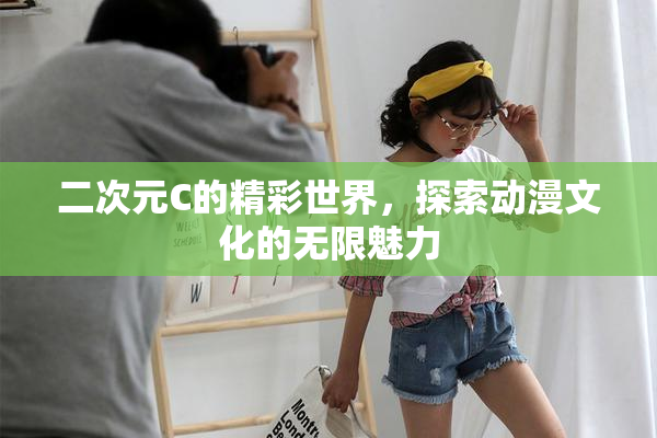 二次元C的精彩世界，探索动漫文化的无限魅力