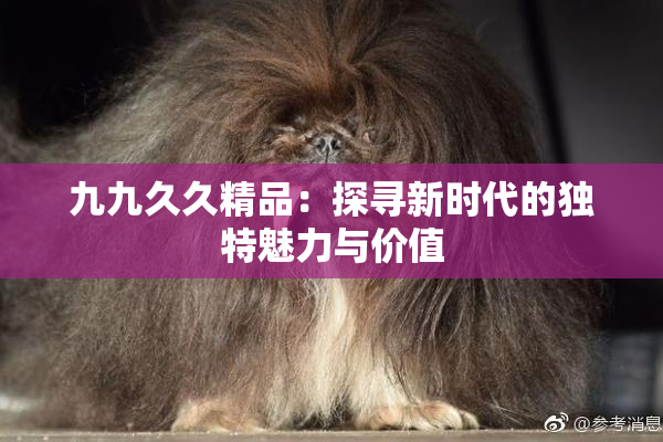 九九久久精品：探寻新时代的独特魅力与价值
