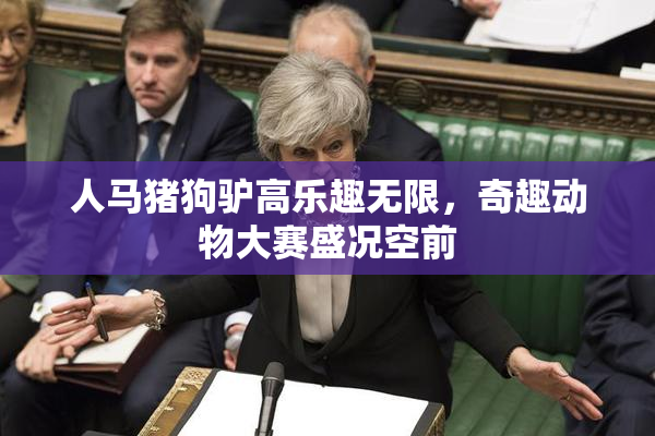 人马猪狗驴高乐趣无限，奇趣动物大赛盛况空前