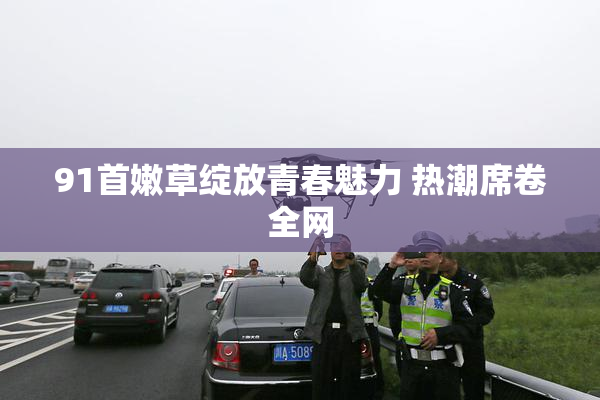 91首嫩草绽放青春魅力 热潮席卷全网